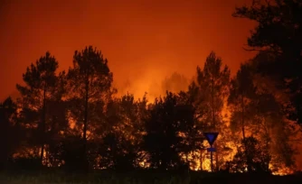 Un incendie d'une grande virulence à Le Porge en Gironde, le 23 juillet 2026 ( AFP / ROMAIN PERROCHEAU )
