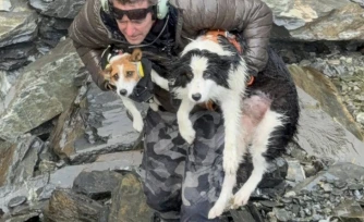 [Vidéo] Molly, une chienne disparue depuis sept jours, secourue en Nouvelle-Zélande