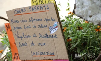 problème poux à l'école 