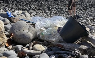 Sainte-Marie : plus d'une cinquantaine de bénévoles mobilisés pour nettoyer le littoral