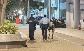 Un robot humanoïde arrêté par la police après avoir fait peur à une retraitée