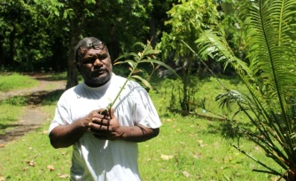 Le chef coutumier Bill Tavue tient une feuille de namele, le 1er février 2026 dans son village de Matantas, dans la zone protégée de Vatthe, sur l'île d'Espiritu Santo, au Vanuatu
