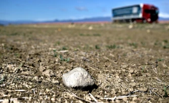 Un champ où le blé n'a pas poussé à cause de la sécheresse, le 26 février 2024 à Lentini, en Sicile