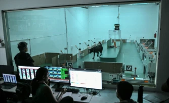 Des employés observent le comportement d'un chien lors d'un test de détection au laboratoire du site de Dognosis, le 28 juillet 2026 à Kempohalli, en périphérie de Bangalore, en Inde