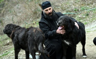 Le père Porfirij joue avec des chiens Karaman au monastère Bigorski de Mavrovo i Rostuse, le 19 mars 2026 en Macédoine