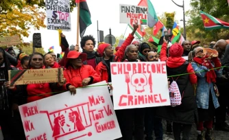 Manifestation organisée par la diaspora d'outre-mer, place Denfert-Rochereau à Paris, le 10 novembre 2024