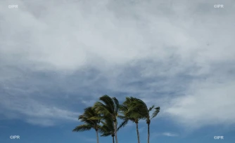 cyclone Berguitta