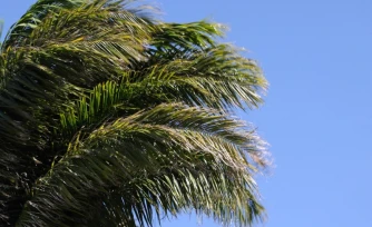 météo Réunion