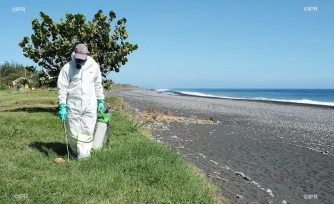 veille sanitaire au Port