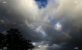 illustrations photos