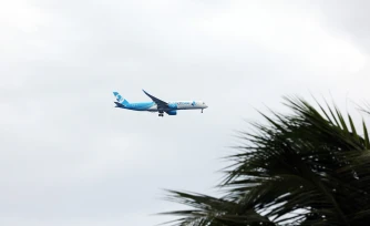 Avion FrenchBee