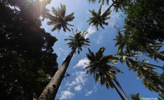 météo réunion