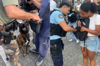 Saint-Joseph : les gendarmes saisissent des stupéfiants et une arme blanche aux abords d'un lycée