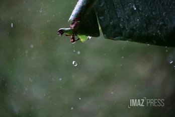 pluie