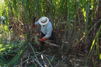 Publi Foire de Bras Panon