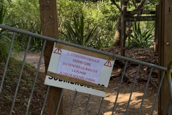 Entre-Deux : deux personnes chutent sur au Bras de la Plaine, le sentier fermé par sécurité