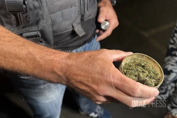 trafics de stupéfiants afd