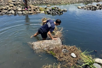 Fermeture de la pêche aux bichiques : 9 rivières contrôlées simultanément, une infraction constatée