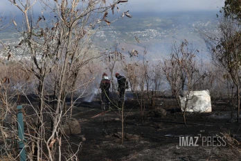 Feu de broussailles à Savannah Saint-Paul
