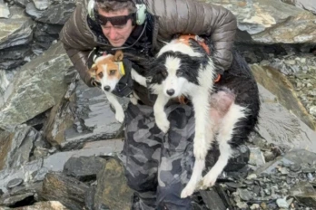 [Vidéo] Molly, une chienne disparue depuis sept jours, secourue en Nouvelle-Zélande