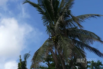 La météo sur La Réunion