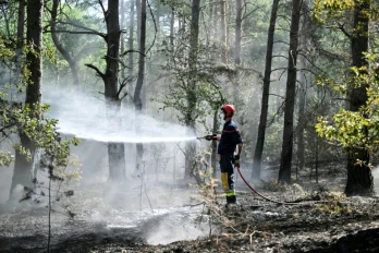 Un pompier arrose les arbres et le sous-bois pendant un incendie dans la forêt de Fontainebleau, à Noisy-sur-École, le 16 juillet 2026 en Seine-et-Marne
