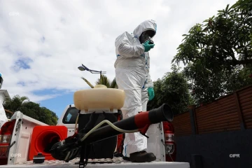 Dengue 