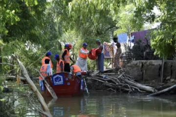 Pakistan: des villageois bravent la faim et les serpents pour protéger leurs terres inondées