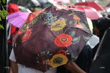 parapluie 
