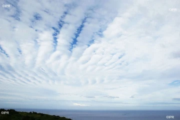 paysages 