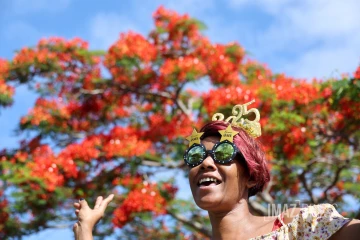 nouvel an 2025 flamboyants 