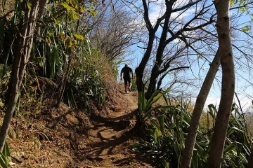 Sentier 