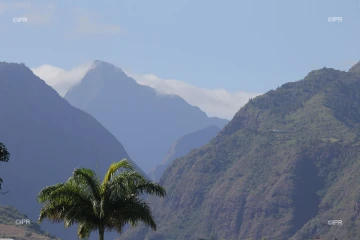 météo réunion 