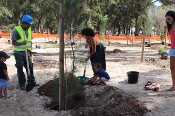 Opération "4 000" arbres