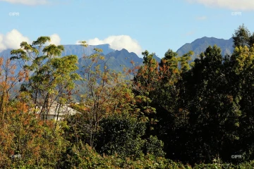 paysages 