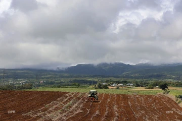 agriculture 