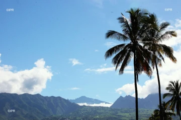 météo réunion 