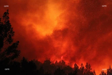 Feu du Maïdo