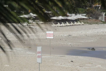 Attaque de Requin à Boucan Canot le samedi 27 août 2016