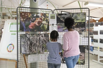 CASUD : l'exposition photos sur l'alimentation durable continue à Saint-Philippe
