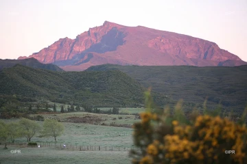 météo réunion 