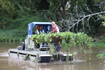 Nettoyage rivière de Sainte-Suzanne