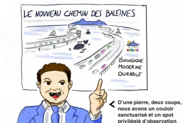 Le coup de crayon de Joris