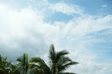 météo réunion 