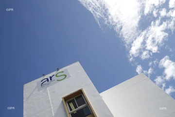ARS