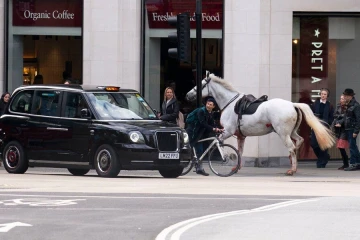 Londres : des chevaux en cavale sèment la panique et font plusieurs blessés [?]