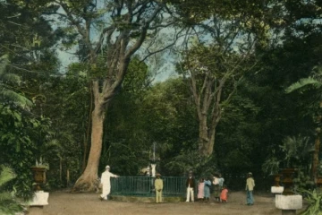 	 iconotheque jardin de l'etat