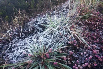 Gelées blanches au Volcan 