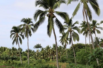 paysages 