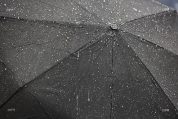 parapluie 